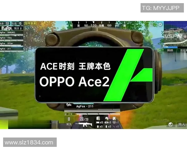 和平精英RNG战队节奏分析与得失总结探讨