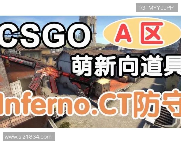 WE战队在CSGOS15赛季防守策略分析与得失总结