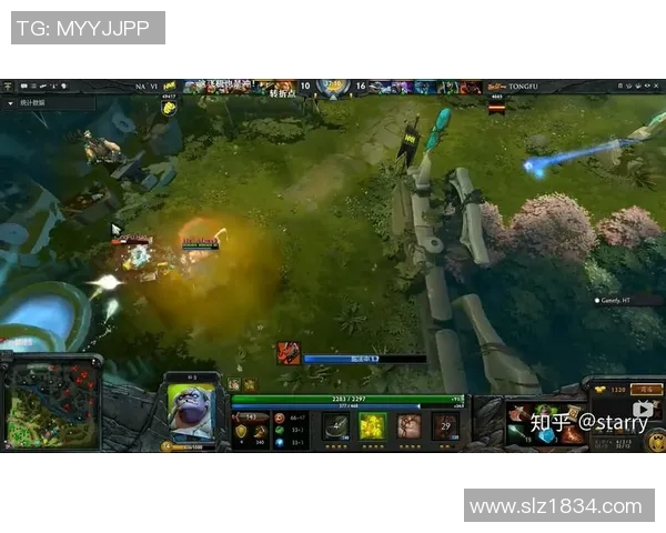 陈芳在S15电竞总决赛中分享DOTA2独特心得与战术解析