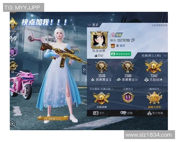 和平精英战术LNG阵地战体系的全面解析与实战应用探讨